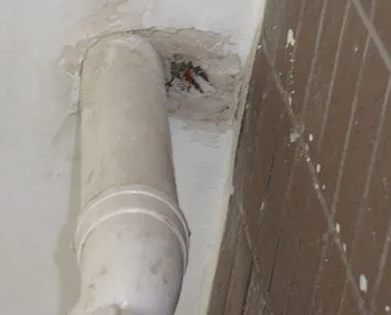 大宁漏水检测哪家好